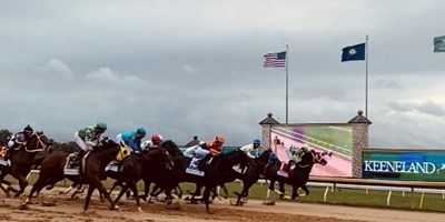 The Windy City Diary V